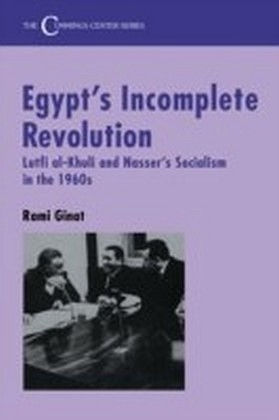 Egypt's Incomplete Revolution main product photo
