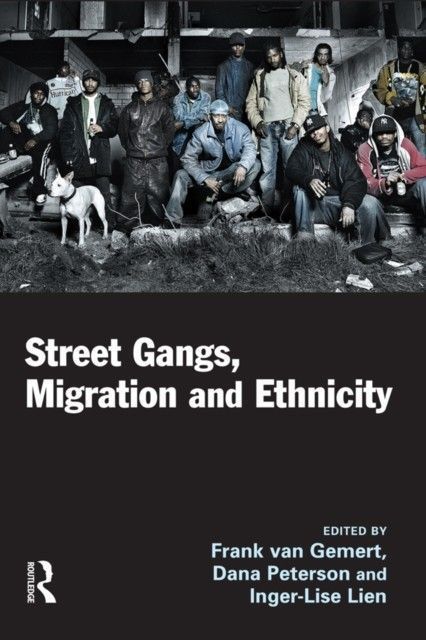 Street Gangs, Migration Ethnicity main product photo