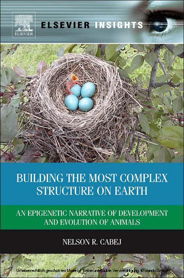Building the Most Complex Structure on Earth main product photo