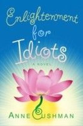 Enlightenment for Idiots main product photo