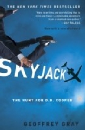 Skyjack main product photo
