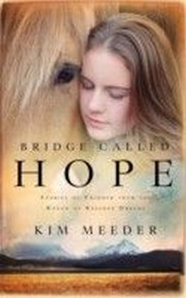 Bridge Called Hope main product photo