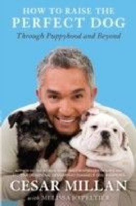 How to Raise the Perfect Dog main product photo