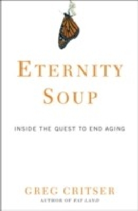 Eternity Soup main product photo