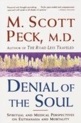 Denial of the Soul main product photo