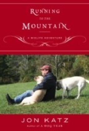 Running to the Mountain