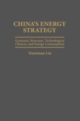 China's Energy Strategy