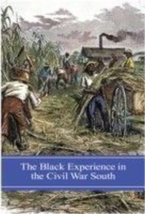 Black Experience in the Civil War South