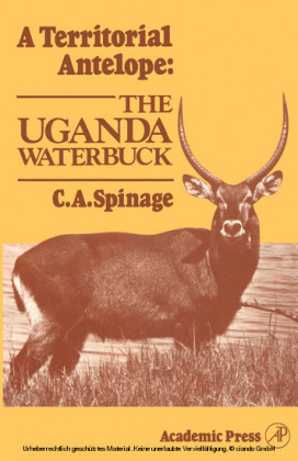 A Territorial Antelope: The Uganda Waterbuck