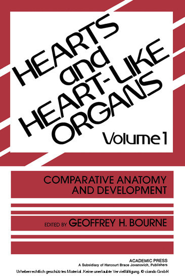 Comparative Anatomy And Development main product photo