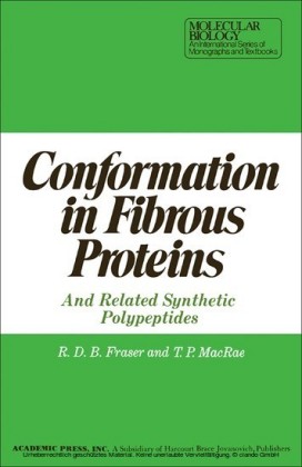 Conformation in Fibrous Proteins and Related Synthetic Polypeptides