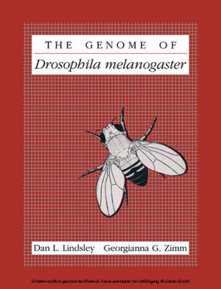 The Genome of Drosophila Melanogaster