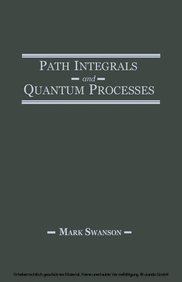 Path Integrals and Quantum Processes main product photo