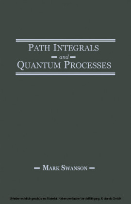 Path Integrals and Quantum Processes