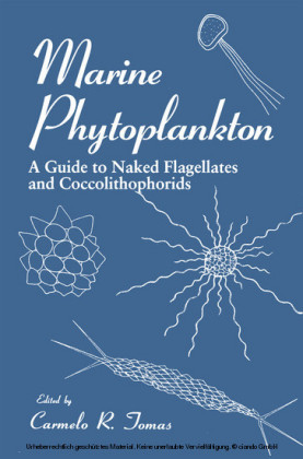 Marine Phytoplankton