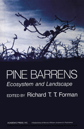Pine Barrens