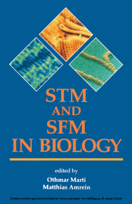 STM and SFM in Biology