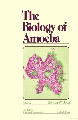 The Biology of Amoeba