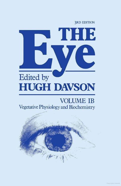 The Eye Pt IB main product photo