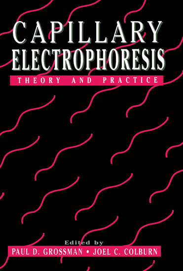 Capillary Electrophoresis main product photo