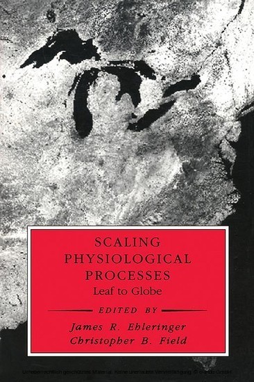 Scaling Physiological Processes main product photo