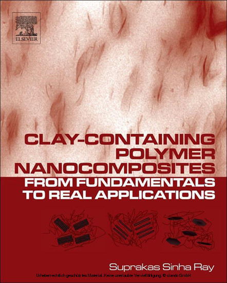 Clay-Containing Polymer Nanocomposites main product photo