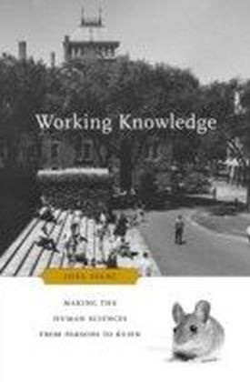 Working Knowledge main product photo