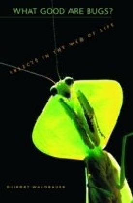 What Good Are Bugs? Insects in the Web of Life