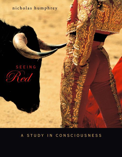 Seeing Red main product photo