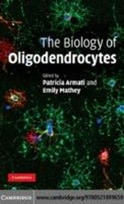 Biology of Oligodendrocytes