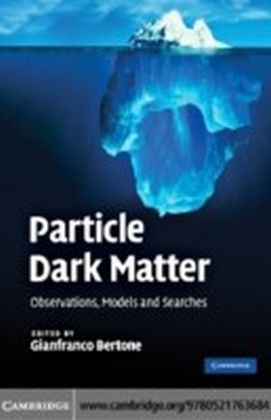 Particle Dark Matter