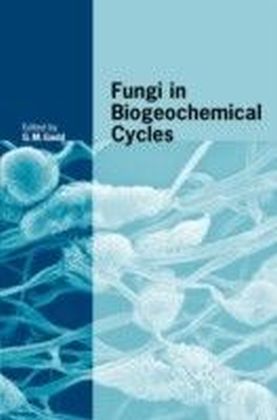 Fungi in Biogeochemical Cycles main product photo