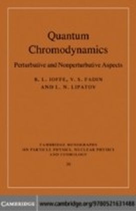 Quantum Chromodynamics main product photo