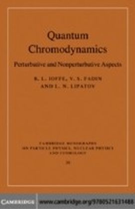Quantum Chromodynamics