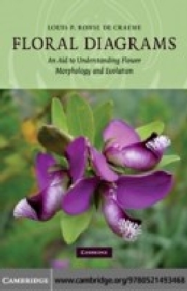 Floral Diagrams