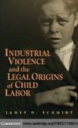 Industrial Violence and the Legal Origins of Child Labor main product photo