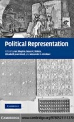 Political Representation