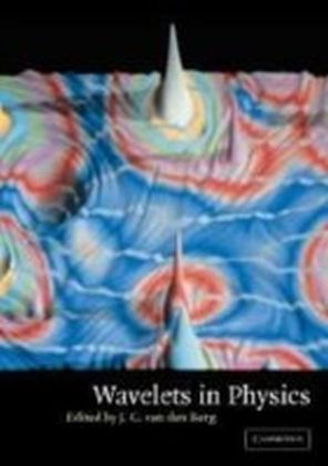 Wavelets in Physics