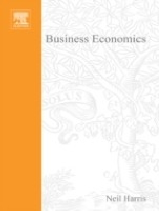 Business Economics: Theory and Application main product photo