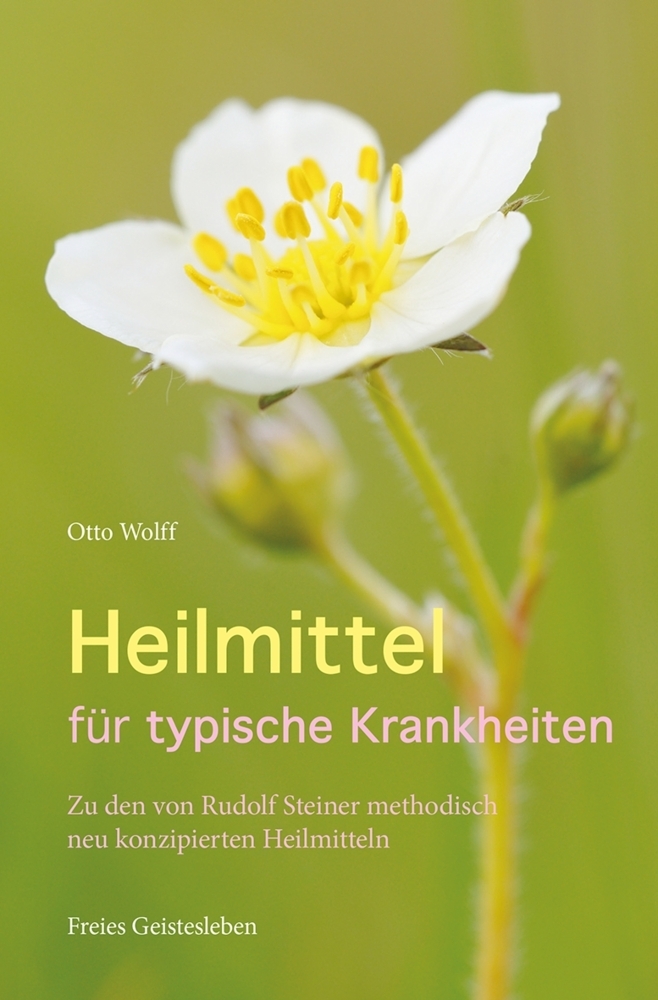Heilmittel für typische Krankheiten main product photo