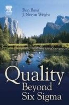 Quality Beyond Six Sigma main product photo