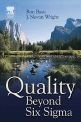 Quality Beyond Six Sigma