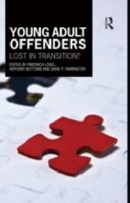 Young Adult Offenders