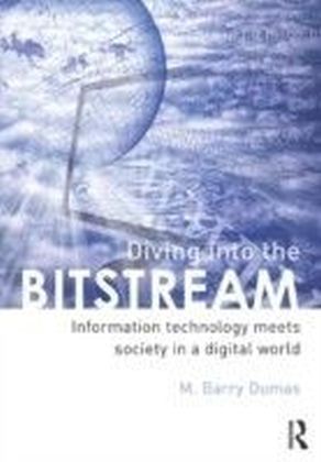 Information Technology and Society