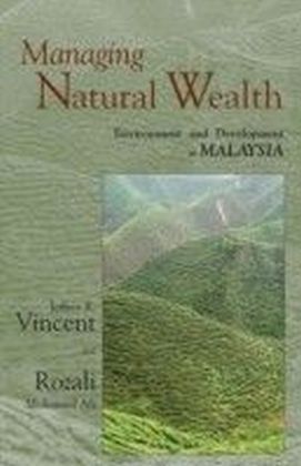 Managing Natural Wealth main product photo