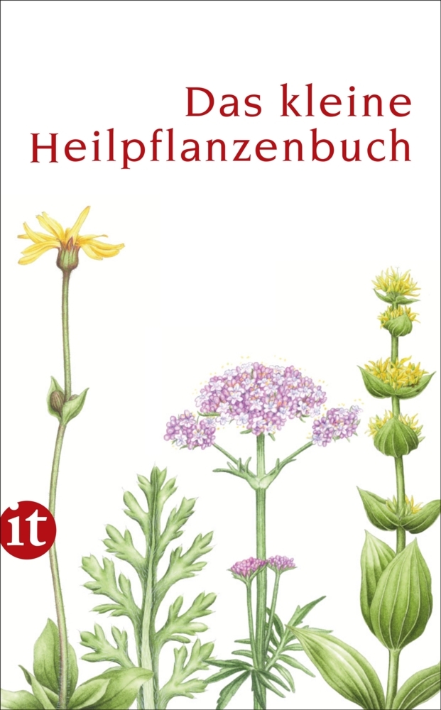 Das kleine Heilpflanzenbuch main product photo