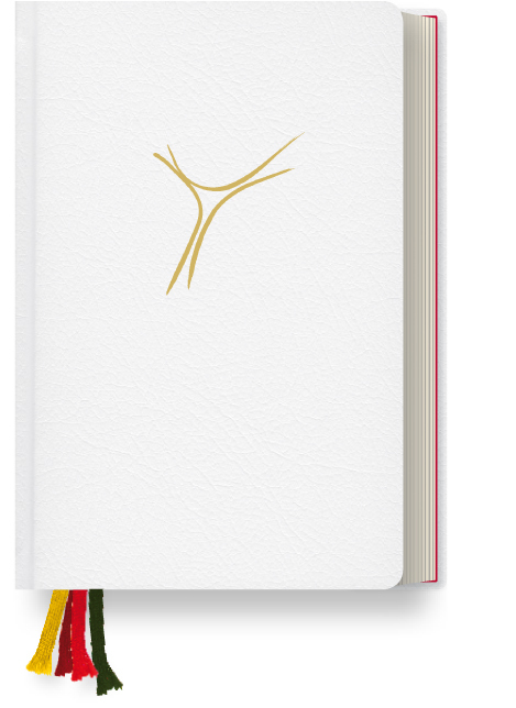 Gotteslob, Diözesanausgabe Bistum Österreich, Cabra weiß main product photo
