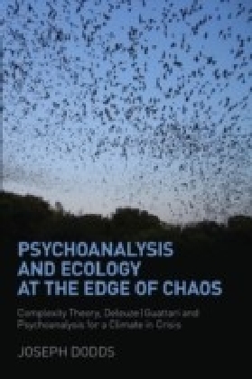 Psychoanalysis and Ecology at the Edge of Chaos main product photo