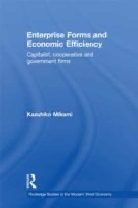 Enterprise Forms and Economic Efficiency main product photo