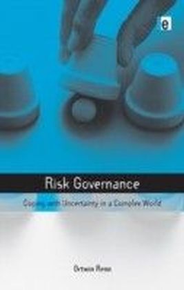 Risk Governance main product photo